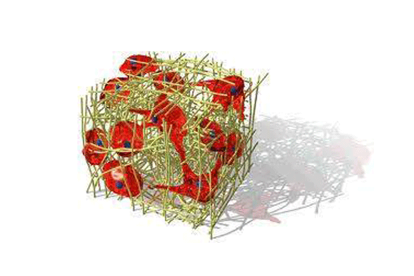 顯微鏡.png 顯微鏡.png