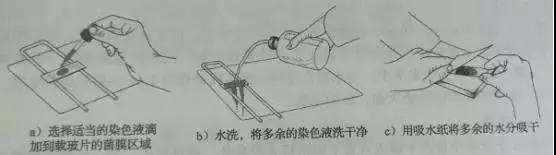 1649293603412011.png 圖片1.png